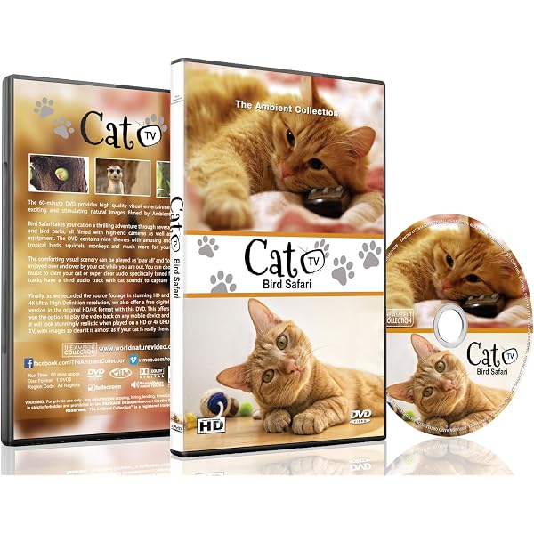 Amazon.com: Kitten Party : Kittens!, LongNeedle Entertainment
